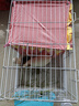 牛寵（niuchong）倉鼠躲避屋荷蘭豬遮蔽簾龍貓吊床豚鼠兔子窩金絲熊帳篷寵物用品 流蘇躲避屋四角款【粉色大號】 曬單實(shí)拍圖