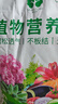 漫生活50L營(yíng)養(yǎng)土贈(zèng)多菌靈+肥種菜有機(jī)養(yǎng)花土通用種花土植物蘭花土種植土 曬單實(shí)拍圖
