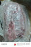 魯南順發(fā)黑豬排骨 （含脆骨10%） 凈重4斤  源頭直發(fā) 曬單實(shí)拍圖