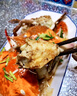 舟山梭子蟹鮮活特大野生大螃蟹新鮮冷凍海鮮水產(chǎn)海蟹飛蟹白蟹順豐 7-9兩/只【5斤 特大當(dāng)季船供】 曬單實(shí)拍圖