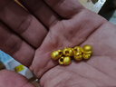 Lossot生日禮物本命年十二生肖蛇足金五福蛇黃金轉(zhuǎn)運珠手鏈3D硬金蛇 曬單實拍圖