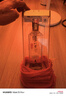瀘州老窖 特曲晶彩 濃香型白酒 52度500ml 單瓶裝 （商務(wù)送禮） 曬單實拍圖