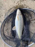 漁之源釣魚(yú)傘防雨垂釣加厚多向釣傘漁具傘戶(hù)外釣魚(yú)遮陽(yáng)傘 1.8米 【單層輕便 加厚黑膠】UPF50+更防曬 曬單實(shí)拍圖
