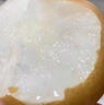 壹萌果蔬正宗山東冰糖梨脆甜當(dāng)季新鮮秋季月豐水梨水果中秋送禮整箱發(fā)出 5斤精選果【單果250g+】?jī)?.5斤 曬單實(shí)拍圖