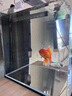 YEE超白魚缸桌面客廳生態(tài)斗金魚烏龜缸造景小型水草養(yǎng)魚玻璃裸缸30cm 曬單實(shí)拍圖