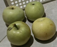 啟程生鮮陜西頭茬青蘋(píng)果新鮮采摘清脆多汁 帶箱1斤 曬單實(shí)拍圖