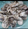 美加佳三去小章魚(yú)凈重2斤（500g*2袋）16-26只 去臟八爪魚(yú) 曬單實(shí)拍圖