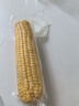京鮮生 東北黃糯玉米260g*10棒 新鮮甜糯玉米棒真空包裝粘玉米 源頭直發(fā) 曬單實拍圖