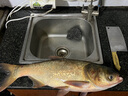 釣魚王 釣魚竿霸王悍黑坑野釣碳素大物魚竿手竿臺釣竿鯽魚鯉魚竿 7.2m 全能大物竿霸王悍S 曬單實拍圖