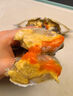 三關(guān)六碼頭舟山紅膏蟹嗆蟹寧波特產(chǎn)整只飛機梭子蟹生腌螃蟹咸蟹醉蟹即食海鮮 【4兩/只 買(mǎi)一送三】實(shí)發(fā)4只 曬單實(shí)拍圖