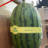 吊秧小西瓜 約1.5kg 曬單實(shí)拍圖