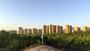 蘇泊爾（SUPOR）電水壺家用燒水  電熱水壺大容量 燒水壺 熱水壺 1500W快速沸騰 精控健康電水壺SW-17J76A 曬單實拍圖