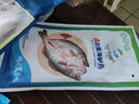 仙泉湖三去白蕉海鱸魚1斤/條凈膛冷凍刺少肉厚珠海特產500g生鮮食材 曬單實拍圖