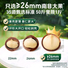 百草味本味甄果高端夏威夷果500g 每日堅果休閑零食干果罐裝團購送禮 曬單實(shí)拍圖