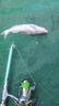 光威光威夕霧投2.7米海釣竿拋竿甩桿超硬超硬調釣拋投魚(yú)竿海竿 曬單實(shí)拍圖