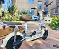 飛鴿 FG FLYING PIGEON電動車鋰電成人女生女士小型電動自行車輕便電單車2025新款電瓶車兩輪車 糯米白【新升級款/可上牌照/智能快充】 【鋰電】12A汽車級/可提充電/助力續(xù)航75km 曬單實拍圖