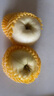 甜醉了 煙臺蘋(píng)果黃元帥粉面蘋(píng)果黃金帥黃香蕉山東特產(chǎn)新鮮水果整箱生鮮 凈重4.5斤75-80mm 曬單實(shí)拍圖