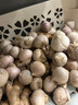 志褚獨(dú)頭蒜大蒜頭 2024云南大理紫皮獨(dú)蒜 精品新鮮現(xiàn)挖濕蒜 3斤裝【大果3.0-3.5cm】 曬單實(shí)拍圖