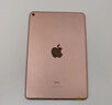 Apple 蘋(píng)果平板電腦 iPad mini5 二手平板電腦 金色 256G 曬單實(shí)拍圖