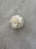金鄉(xiāng)大蒜【原產(chǎn)地直銷】山東金鄉(xiāng)干蒜3斤大蒜頭白紫皮自種5斤蒜瓣2025新蒜 凈重5斤 優(yōu)選大果 50-55mm 曬單實(shí)拍圖