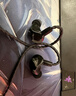 雷蛇（Razer）虎鰻 入耳式監(jiān)聽降噪耳塞 音樂運動 混合雙驅動  THX 有線直播創(chuàng)作音樂游戲耳機 曬單實拍圖