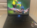 聯(lián)想拯救者Y9000P 2025 AI元啟游戲筆記本電腦(Ultra9 275HX 32G1T RTX5060 2.5K240Hz 黑)國家補貼20% 曬單實拍圖