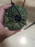 伯希和（Pelliot）戶(hù)外雨衣露營(yíng)登山徒步雨披三合一折疊便攜防雨165039009橄欖綠 曬單實(shí)拍圖
