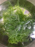 元瀧 新鮮龍須菜 3斤(500g*3袋) 福建鹿角菜 火鍋食材 源頭直發(fā) 曬單實(shí)拍圖