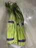 京鮮生山東紅帽蒜苔凈重2斤粗細適中色澤飽滿蒜薹 源頭直發(fā) 曬單實拍圖