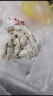 冷凍南美白蝦鹽凍鮮美對蝦單盒冷凍大蝦 3040大蝦 1.5kg(凈重) 曬單實(shí)拍圖