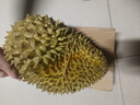 京鮮生 進(jìn)口金枕頭榴蓮 凈重3-4斤 1個(gè)裝  鮮果 生鮮 新鮮水果 曬單實(shí)拍圖