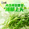 白象 方便面 香菜面五合一超香香香菜面泡面115g*5 五連包 方便速食 曬單實(shí)拍圖