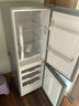 上菱183升雙開門冰箱小型出租房2-3人用 出租屋家用兩門二門小戶型雙門電冰箱以舊換新BCD-183D 曬單實拍圖