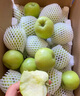 現摘云南昭通青香蕉青蘋(píng)果新鮮10斤裝當季整箱脆甜孕婦水果甜 70mm(含)-75mm(不含) 純甜味原產(chǎn) 5斤 曬單實(shí)拍圖
