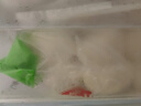 安井 奶香饅頭 1kg 2斤裝約48個  兒童牛奶饅頭 速凍面點早餐半成品 曬單實拍圖