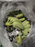 廣西蘋果蕉【產(chǎn)地直發(fā)】新鮮香蕉自然熟香芭蕉香甜粉糯現(xiàn)摘現(xiàn)發(fā) 產(chǎn)地直發(fā) 10斤 （凈重9斤） 曬單實(shí)拍圖