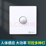 國際電工（FDD） 86型暗裝人體感應(yīng)開關(guān)智能光控?zé)羧梭w紅外線延時 人體感應(yīng)延時開關(guān)-白色 曬單實拍圖