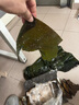 鐸上鹽漬海帶頭整箱大連特產(chǎn)非干貨煲湯火鍋涼拌 2.5kg 曬單實(shí)拍圖