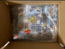 樂(lè )高（LEGO）積木拼插玩具 哈利波特76382變形課立體書(shū) 8歲+生日禮物 曬單實(shí)拍圖