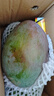 京鮮生 攀枝花凱特芒果 凈重4.5斤 單果300g+ 生鮮水果源頭直發(fā) 曬單實(shí)拍圖