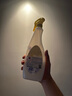 CHANTECLAIR大公雞管家 多功能油污凈(檸檬香味) 廚房重油污清潔劑 600ml 曬單實拍圖