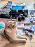 佳能（Canon） EOS R10 微單相機 輕量小型 APS-C畫幅 高速連拍 r10高清4K視頻 R10+RF-S18-45套機【日常家用】 套餐四【套餐四免費升級套餐五~強烈建議套餐四】 曬單實拍圖