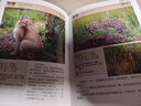 東非野生動物手冊 曬單實拍圖