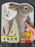 亮麗精美觸摸書(shū)系列點(diǎn)讀版（全4冊）小兔比利仿真觸摸書(shū)幼兒?jiǎn)⒚稍缃虝?shū) 【0-2歲】低幼認知繪本 樂(lè )樂(lè )趣童書(shū)   暑假作業(yè) 一升二暑假銜接 小升初暑假銜接 曬單實(shí)拍圖
