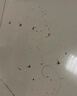 譙清溢驅(qū)蚊液蚊香液無味嬰兒孕婦專用電熱蚊香液無煙型預(yù)防基孔肯雅熱 曬單實拍圖