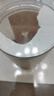 嘉寶（GERBER）原味+番茄牛肉+混合蔬菜味高鐵米粉禮盒250g*3罐6月齡 曬單實(shí)拍圖