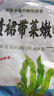 大連裙帶菜 鮮海帶非干貨海帶嫩苗兒童海菜海白菜海藻菜涼拌 裙帶菜嫩葉250g 曬單實(shí)拍圖