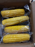 佳農 內蒙黃糯玉米棒8袋*220g 軟糯香甜 真空鎖鮮 源頭直發(fā) 禮盒包郵 曬單實(shí)拍圖