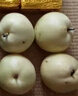正宗河北皇冠梨饒陽(yáng)皇冠梨產(chǎn)地直發(fā)單果180g+ 帶箱2斤裝（凈重1.6-1.8斤） 曬單實(shí)拍圖