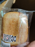 盼盼【店長推薦】法式小面包 懶人速食夜宵點心早餐面包休閑食品代餐 盼盼法式小面包1500g（約70枚） 曬單實拍圖
